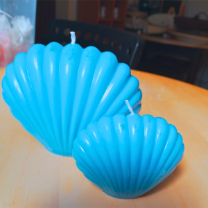 Velas Conchas