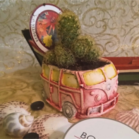 Vaso Pao Forma Vermelho com Rebutia