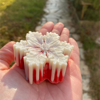 Flocos de Neve